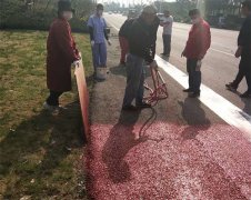 我司浙江人文園林股份灞橋彩色路面項(xiàng)目進(jìn)場(chǎng)施