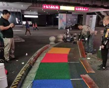 上海國家會(huì)展中心十萬平水性聚氨酯彩色路面打
